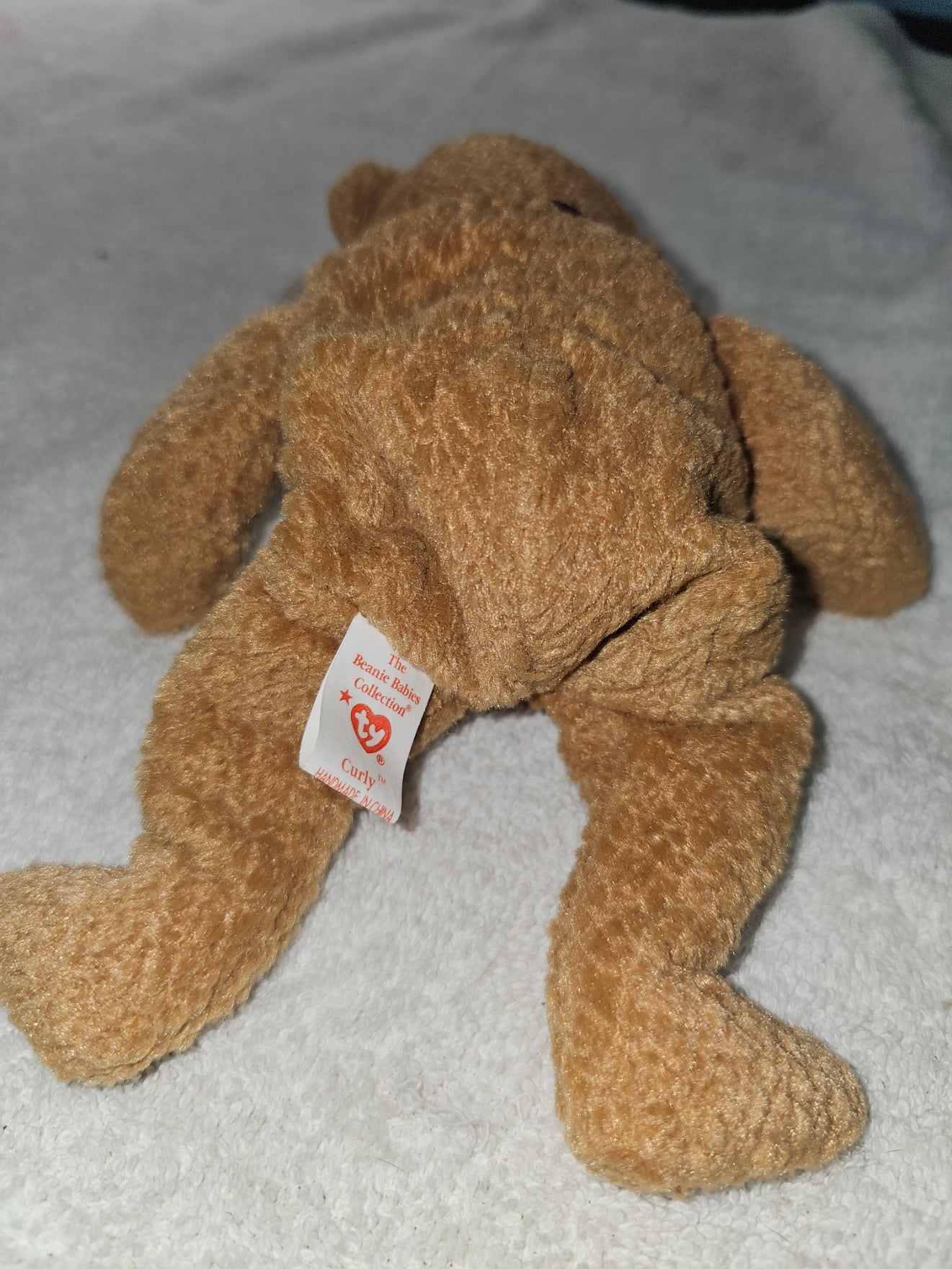 Ty Beanie Baby: Curly the Bear selten!! Fehler!
